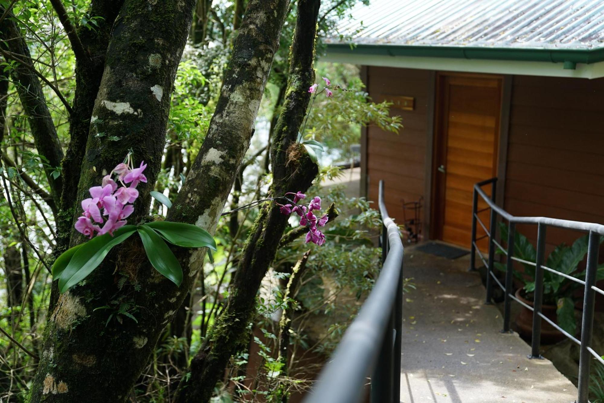 Koora Monteverde A Cloud Forest Hotel By Sandglass Bagian luar foto