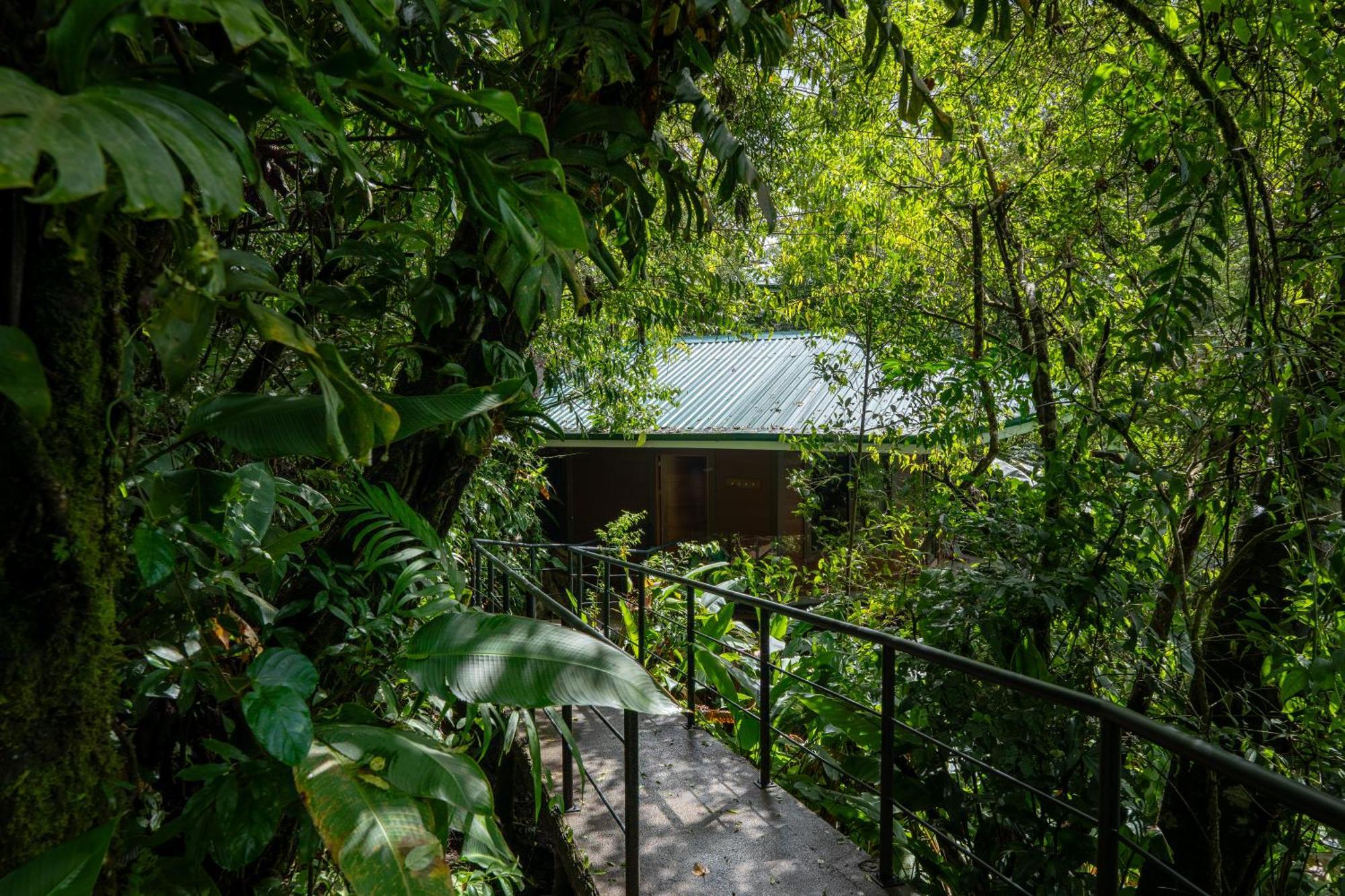 Koora Monteverde A Cloud Forest Hotel By Sandglass Bagian luar foto